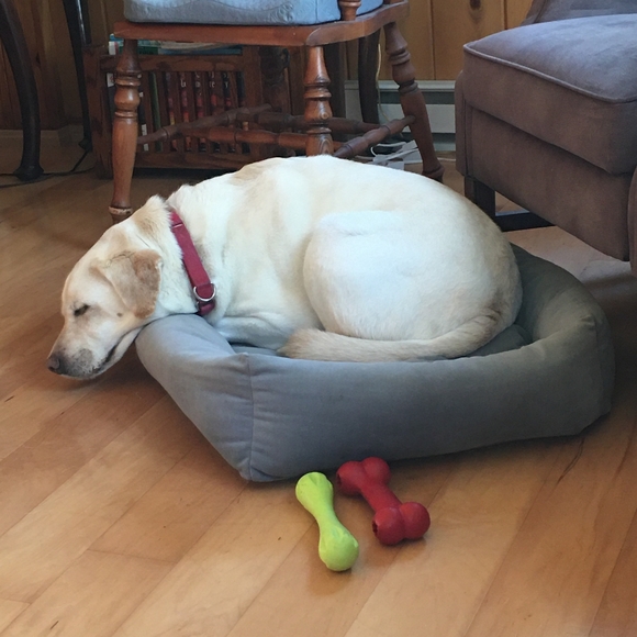 Thanks for visiting my closet! - Picture 5 of 11